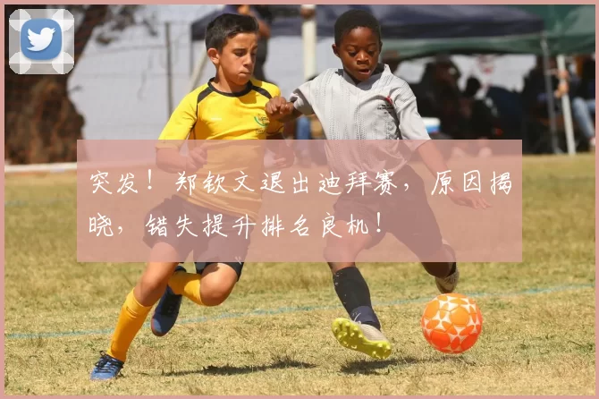 突发！郑钦文退出迪拜赛，原因揭晓，错失提升排名良机！