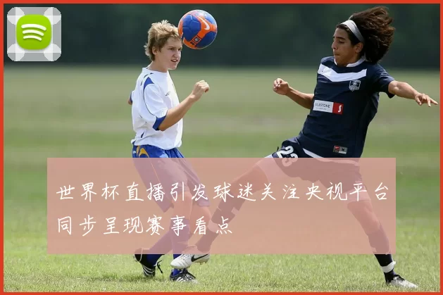 世界杯直播引发球迷关注央视平台同步呈现赛事看点