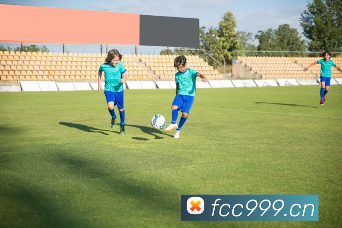 乐鱼体育app官网登录入口平台生态图